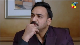 Hadd - Episode 81 - 15th June 2026